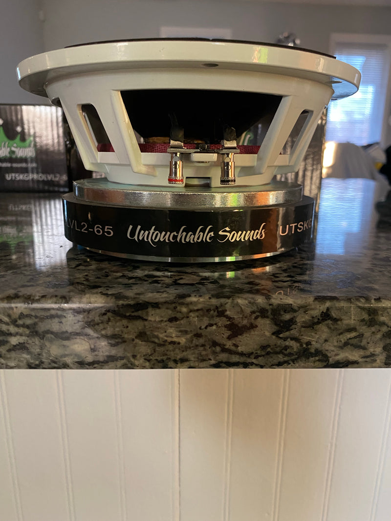 Pro Audio 8"